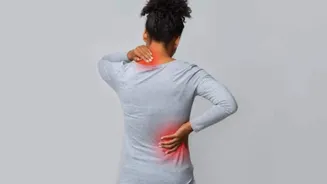 Fix your back pain with these exercises