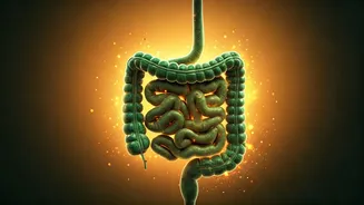 Related Stories banner