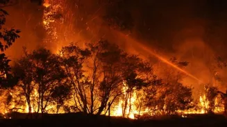 Nainital forest fires poison air: Black carbon levels rise tenfold, health and glaciers at risk