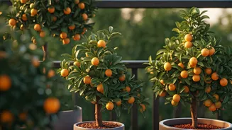 9 Fruit Trees Perfect for Small Yards and Patios: Your Home Orchard Awaits!