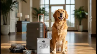 Pet-Friendly Travel Needs More Than A Listing That Says Pets Allowed