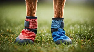 Why Daily Walks Need Waterproof Dog Booties Online