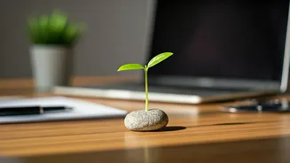 Related Stories banner