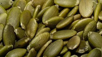 Pumpkin seeds v/s sunflower seeds: Which is healthier?