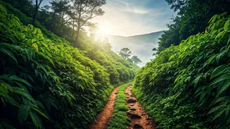 Wayanad Is The Hottest Pre Monsoon Escape Right Now