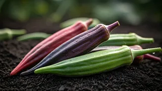 Okra Is Ready For Its Gardening Glow-Up