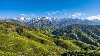 Why Remote Tech Staff Are Moving To Bir Billing For Monthly Mountain Stays