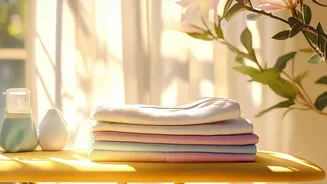 Morning Sunlight Habits How Early Exposure Keeps Energy High All Day Long