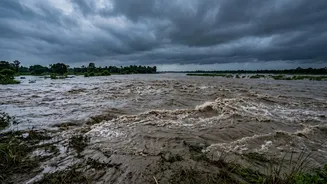 Why The Kosi Is Called Bihar's ‘Sorrow’ And What The Name Means