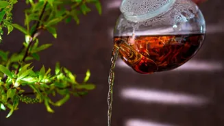 Why Monsoon Is The Best Time To Explore Hyderabad's Specialty Tea Culture