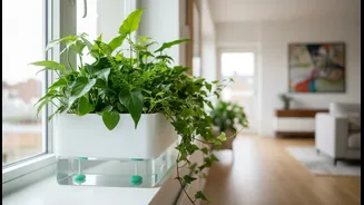 Why sub-irrigated planter tech ensures consistent soil moisture levels for indoor apartment greenery
