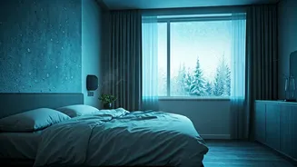 The Chill Factor: Why Nick Jonas Loves a Freezing Room for Sleep and What Science Says