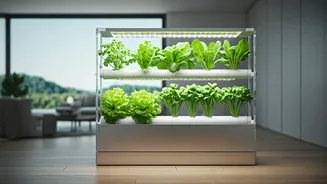 Green Homes Without Soil Are The New Flex