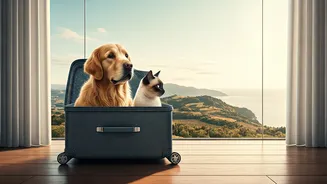 Indian Travellers Want Holidays Their Pets Can Join