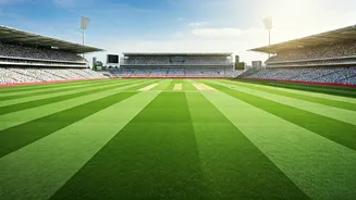 Taurus Daily Horoscope: March 24, 2026 - Navigating Clarity and Comfort