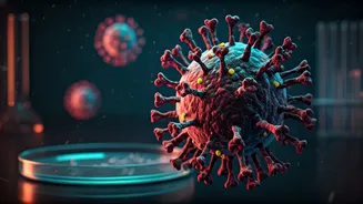 Hantavirus Outbreak on MV Hondius: Understanding the Risks and Precautions