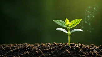 The Investment Trend Built To Last