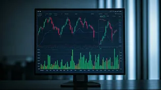 Market Insights & Investment Strategies for IN Investors