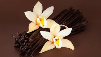 Plant Waste Supplies Vanilla Flavour In The Microbites Cookie Prototype