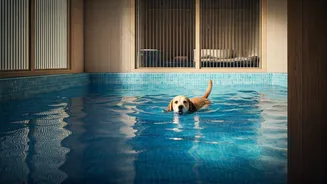Indian Pet Parents Are Booking Out Luxury Cage-Free Resorts