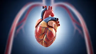 Daily Habits to a Healthier Heart: A Simple Guide