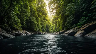 Related Stories banner