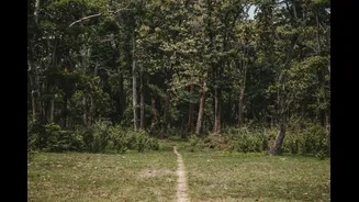 Climate Change Threatens Biodiversity and Ecosystems in India