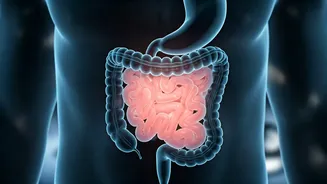 IBS Medication Safety: New Study Reveals Potential Increased Mortality Risks