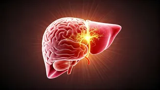 14 Days of Coffee: A Doctor's Insights on Daily Brew's Surprising Health Perks