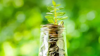Why First-Time Taxpayers Benefit From Auto-SIP Strategies In ELSS Mutual Funds