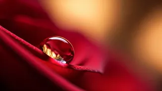 100+ Romantic Kiss Day Wishes & Quotes to Cherish Your Partner