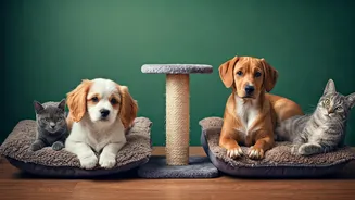 Pet-Fishing: India's Secret Weapon for Swiping Right on Dating Apps