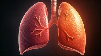 Asha Bhosle's Passing: Understanding the Health Risks of Chest Infections in the Elderly