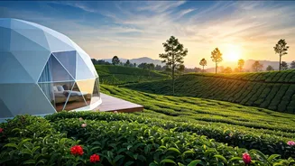 Secluded Munnar Glamping Domes Overlooking Tea Plantations Trend Heavily