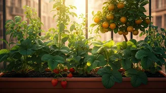 Urban Fruit Gardening Is A Slow Flex