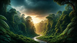 Rain-Fed Landscape Travel Is Pure Monsoon FOMO