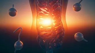 Related Stories banner