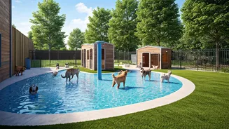 Luxury Pet Boardings With Splash Yards Report Unprecedented Crowds