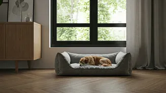 Indian Homes Are Designing Calm Spaces For Pets