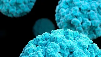 Scientists Decode DNA Loop Mechanisms That Could Improve Cancer Therapy Strategies