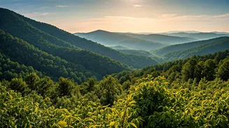 Green Landscapes Are Pulling Travellers Out This Season