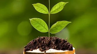 How Beginner Investors Under 25 Avoid Stock Picking Pitfalls Using Index Funds