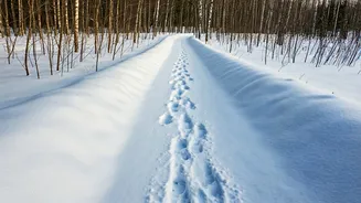 Conquer the Cold: Walking 10,000 Steps Daily