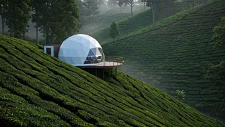 Misty Chikmagalur Spice Plantations Host Hottest Geodesic Glamping Domes Tonight