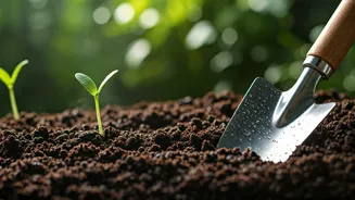 Rain-Softened Soil Makes Gardening Feel Easier