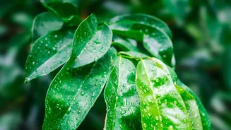 Before a Monsoon Weekend Trip, Check These Weather Essentials
