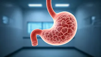 Dipika Kakar's Health Update: Stomach Cyst Discovered Amid Ongoing Cancer Treatment