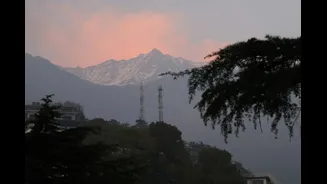 Balancing Infrastructure Development and Disaster Risk in India's Ecologically Sensitive Zones
