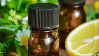 Essential Oils Need Dilution Before They Are Used On The Scalp