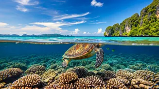 Travellers Want Andaman Beaches Plus Underwater Drama